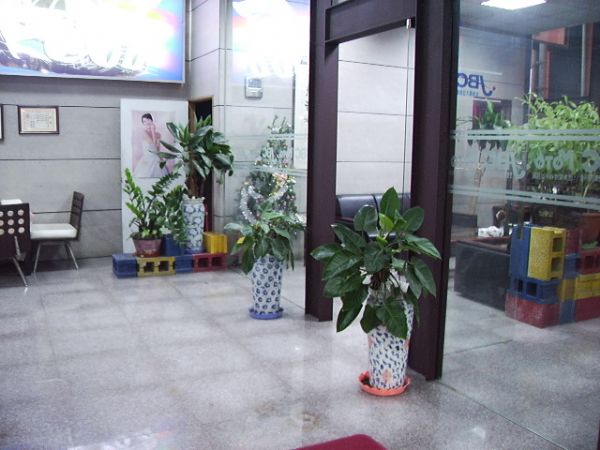 極致  FX35 照片8