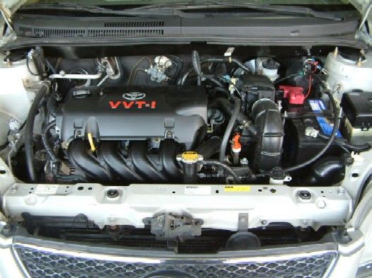 VIOS 照片5