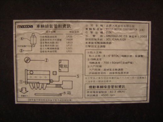 6 照片6