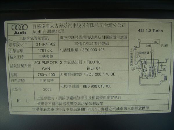 TT   260匹 照片6
