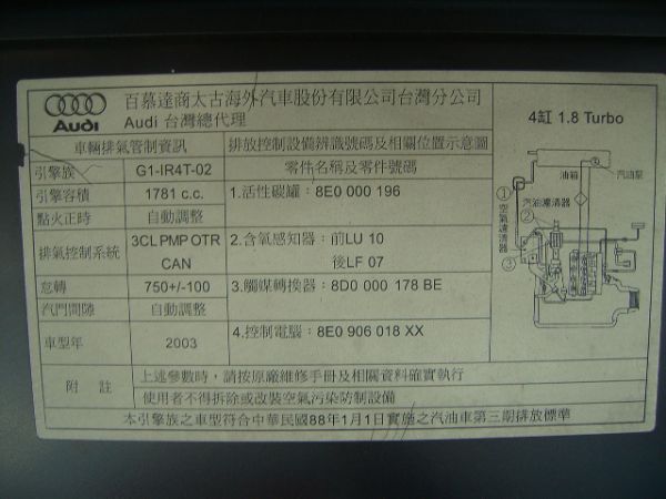 TT   260匹 照片6