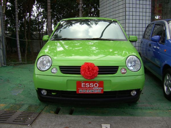 Lupo 照片7