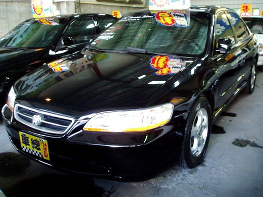 ACCORD K9 照片1