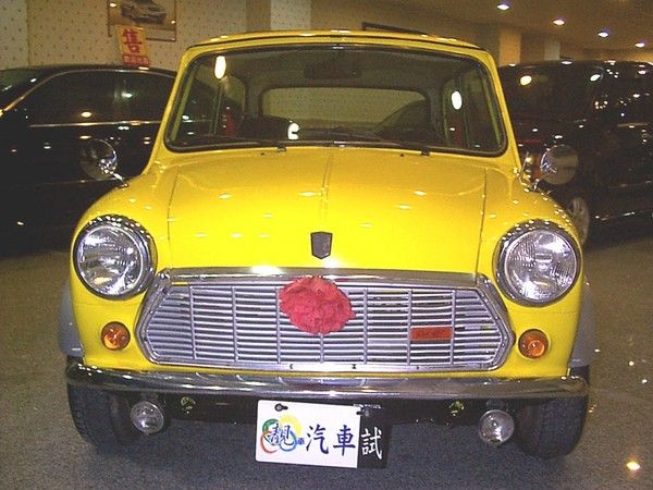 mini 照片8