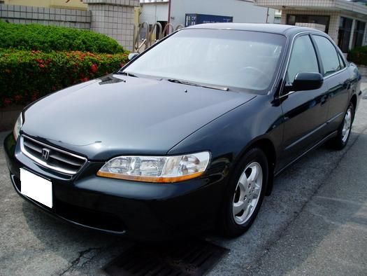 ACCORD K9 照片1