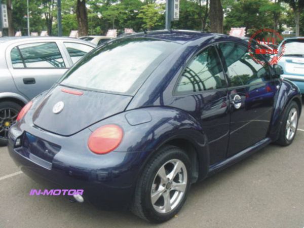 Beetle 照片8