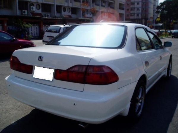 ACCORD K9 照片9