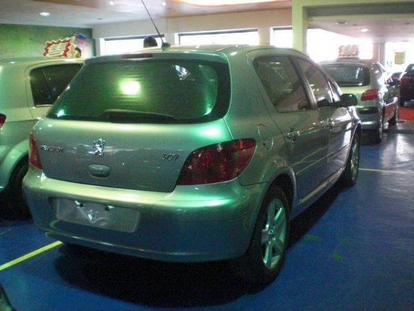 PEUGEOT / 307 照片10