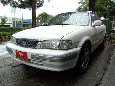 TERCEL MANGIT 照片2