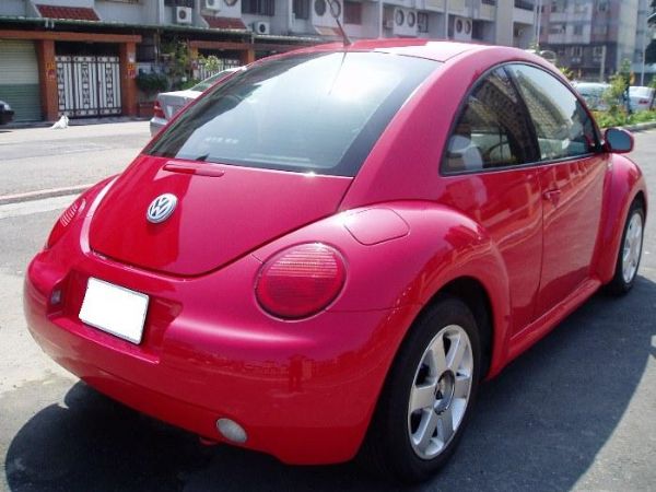 Beetle 照片8