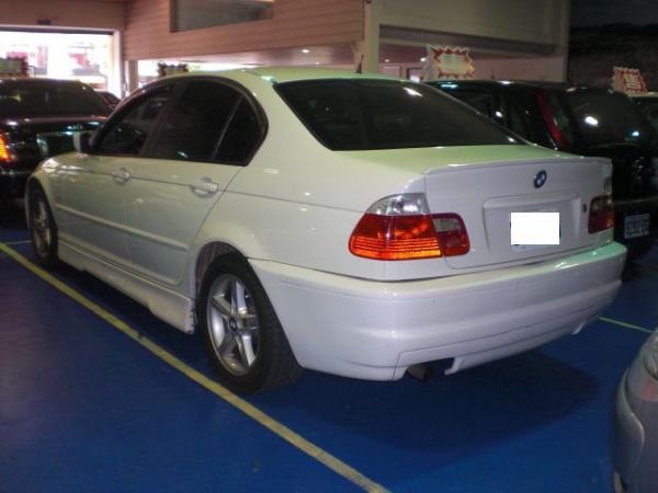 BMW 318i 照片9