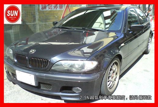 03 BMW / 318 照片1