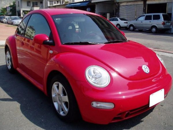 Beetle 照片2