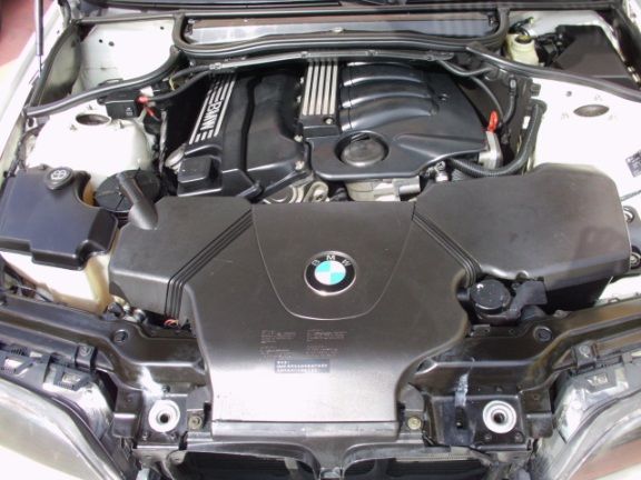 2003 BMW 318I 2.0 白 照片8