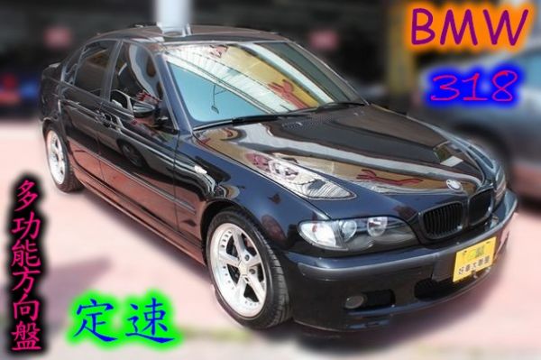 BMW 寶馬 318 2.0 黑 照片2