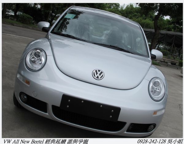 VW BEETLE 1.6  照片8