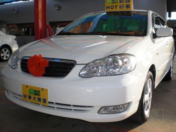 豐田TOYOTA Altis 1.8 白 照片1