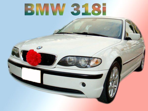 03年BMW寶馬 318 2.0 白  照片1