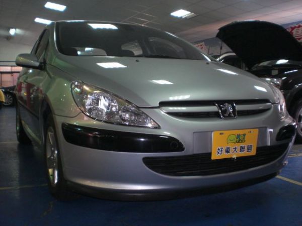 Peugeot 寶獅 307  照片1