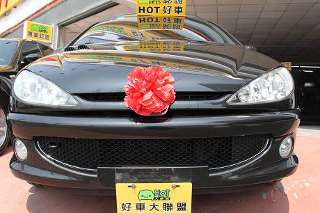 Peugeot 寶獅 206  照片1