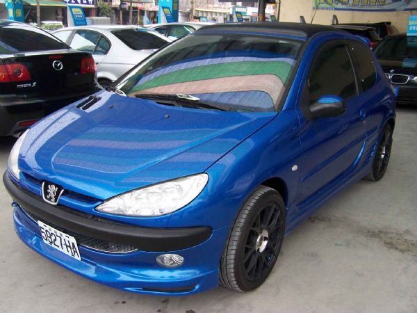 PEUGEOT 206 04年 1.6藍 照片1