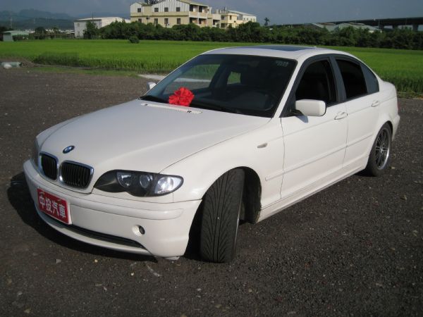 {翔芳汽車} BMW/寶馬 318i 照片1