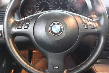 2004年BMW 寶馬 3系列 318 照片5