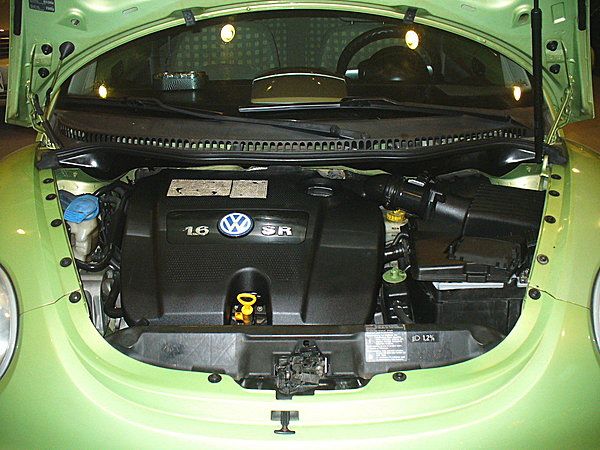 02年Volkswagen/BEETLE 照片6