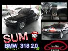 台中市BMW 寶馬 318 黑  BMW 寶馬 / 318i中古車