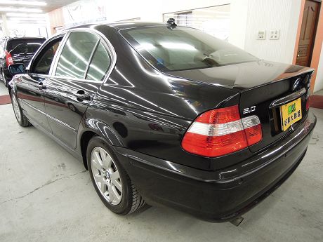 2004 BMW 寶馬 3系列 318 照片10