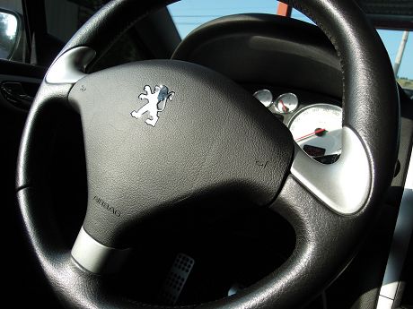 2005 Peugeot 寶獅 307  照片3