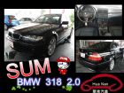 台中市BMW 寶馬 318i 黑 2.0 BMW 寶馬 / 318i中古車