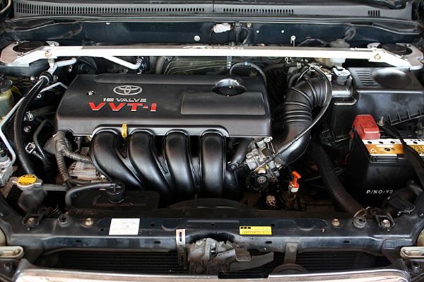 Altis 照片7