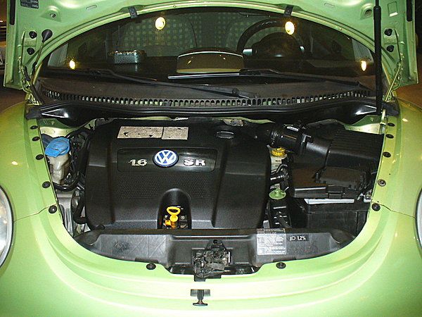 VW 福斯 BEETLE 1.6 照片6