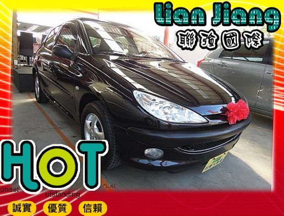 Peugeot 寶獅 206 照片1