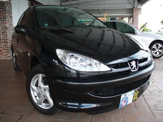 Peugeot 寶獅 206 照片2