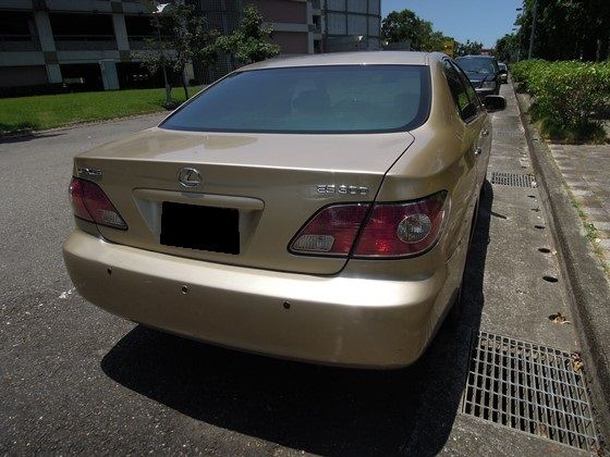 Lexus 凌志/ES 300 照片10