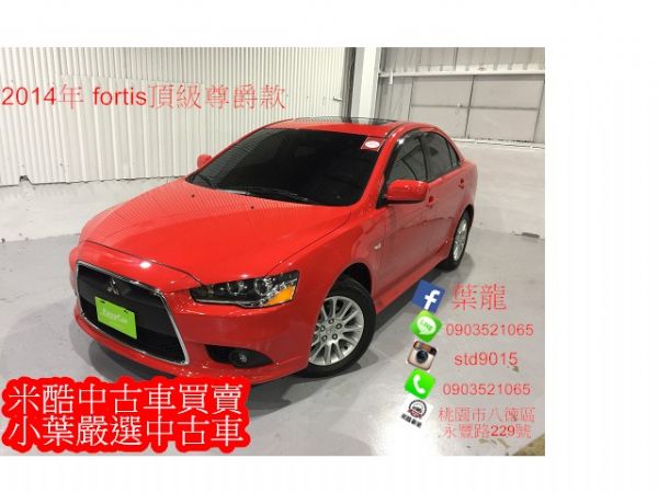 年輕車款 2014年 fortis  照片1