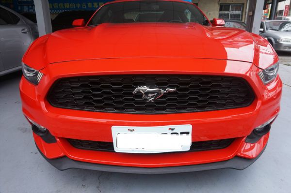 SUM中都汽車 2015 Mustang 照片2