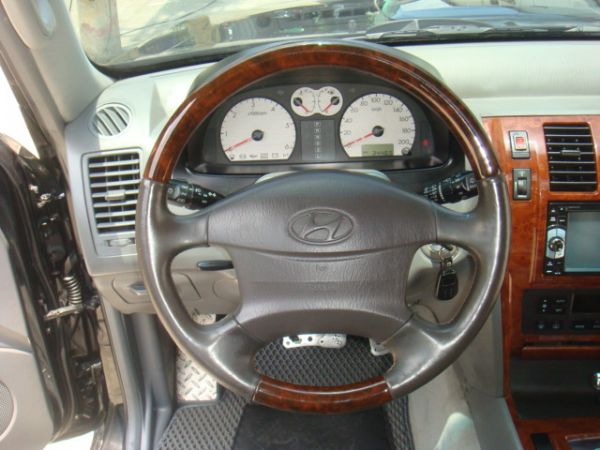 HYUNDAI TERRACAN 照片9