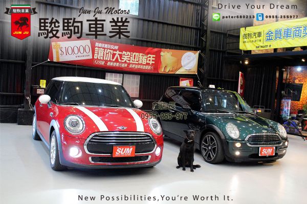 MINI ONE R53 照片9