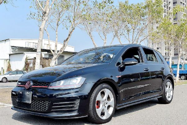 GTI 2.0 免保人免頭款全額貸 照片1