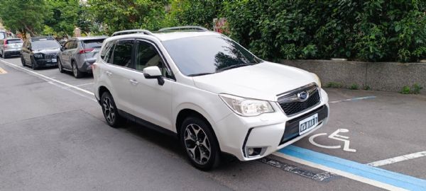 FORESTER Premium XT 照片1