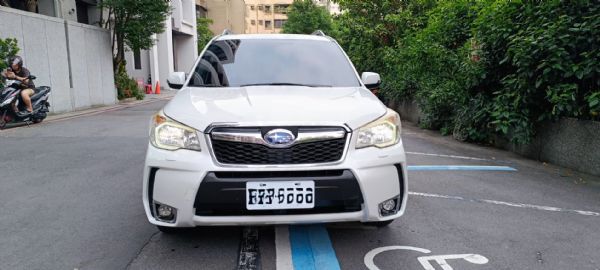 FORESTER Premium XT 照片2