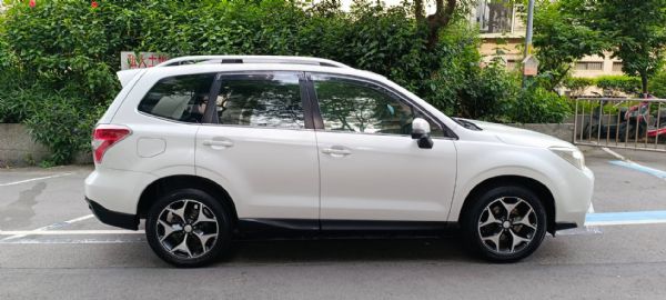FORESTER Premium XT 照片3