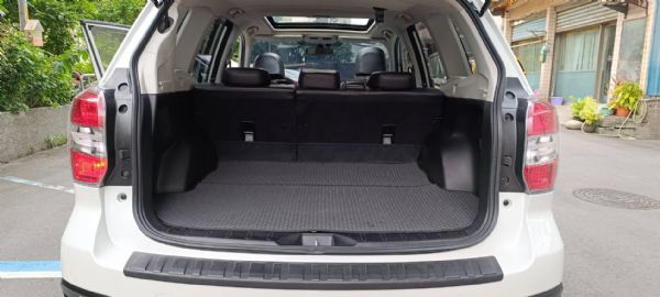 FORESTER Premium XT 照片5