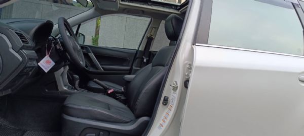 FORESTER Premium XT 照片6