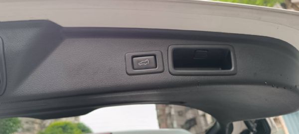 FORESTER Premium XT 照片8