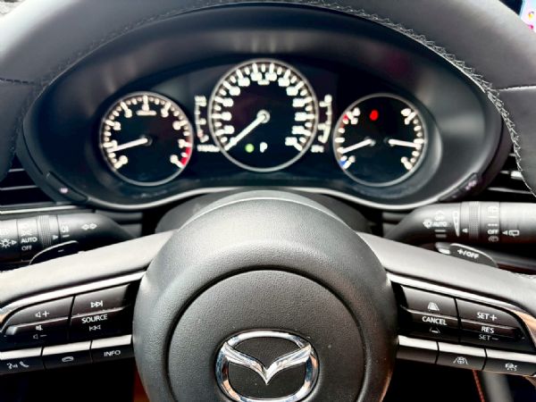 黑化特仕 僅跑1萬 原漆 保固到2029 照片6